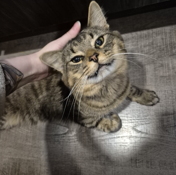 Meet your Posher, Kristen - Picture 3 of 4